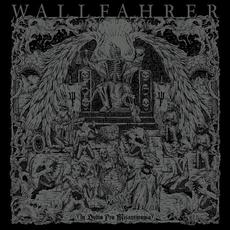 In Dubio Pro Misanthropia mp3 Album by Wallfahrer