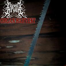Organ Harvest mp3 Album by Blood Druid