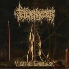 Vindictive Cannibalism mp3 Album by Tenderyzer