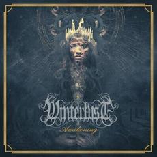 Awakening mp3 Album by Winterlvst