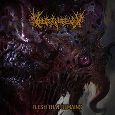 Flesh That Remains mp3 Album by Vile Reflux