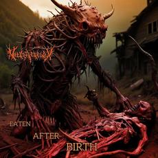Eaten After Birth mp3 Album by Vile Reflux