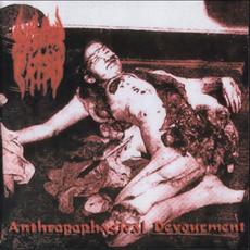 Anthropophagical Devourment mp3 Album by Infected Flesh