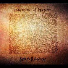 Labyrinth of Present mp3 Album by Smallman