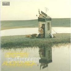 Grocery Andromeda mp3 Album by b-flower