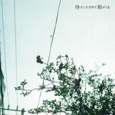 待ちくたびれて朝がくる mp3 Album by CreepHyp (クリープハイプ)
