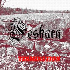 Termination mp3 Single by Feskarn