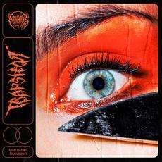 Transient mp3 Single by Mimi Barks