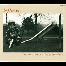 Nobody Knows This Is Nowhere mp3 Single by b-flower