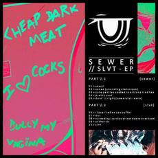 Sewer//Slvt mp3 Artist Compilation by Sewerslvt