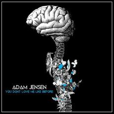 You Don't Love Me Like Before mp3 Single by Adam Jensen