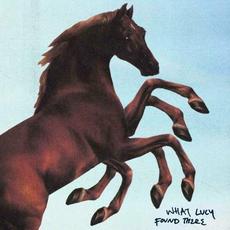 What Lucy Found There mp3 Single by Man/Woman/Chainsaw
