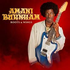 Roots & Wings mp3 Album by Amani Burnham