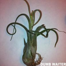 Is This Chocolate? mp3 Album by Dumb Waiter