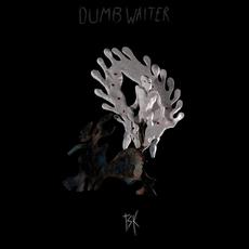 TSK mp3 Album by Dumb Waiter