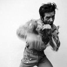 THRASHER mp3 Album by Brandon Flowers