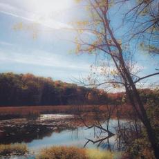 To Withhold the Need to Conquer mp3 Album by Aspen Sanctum
