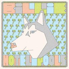 BiLLiE mp3 Album by Hotel Pools