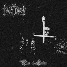 Rise of Satan mp3 Album by Toxic Dawn