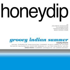 groovy indian summer mp3 Album by honeydip