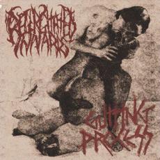 Gutting Process mp3 Album by Regurgitated Innards