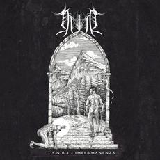 T.S.N.R.I. - Impermanenza mp3 Album by Duir