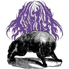 Tomb Essence mp3 Album by Goetia