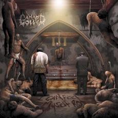 I Can Feel Myself Rot mp3 Album by Gaffed
