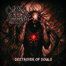 Destroyer of Souls mp3 Album by Carnal Dust