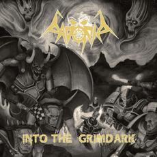 Into the Grimdark mp3 Album by Padoria