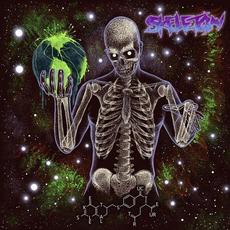 Skeletal Structure mp3 Album by Skeleton