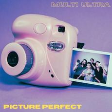 Picture Perfect mp3 Single by Multi Ultra