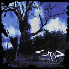 Break The Cycle (25th Anniversary Live) mp3 Live by Staind