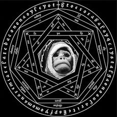 Albert mp3 Album by Ape Unit