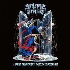 Life Is Temporary Thrash Is Forever mp3 Album by Satans Grasp