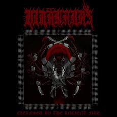 Cleansed by the Ancient Fire mp3 Album by Vināyakas