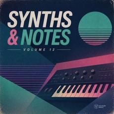 Synths & Notes, Vol. 12 mp3 Compilation by Various Artists