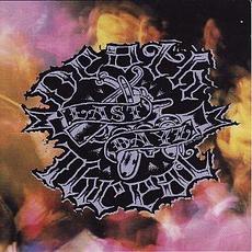 Last Dayz mp3 Album by Death Threat