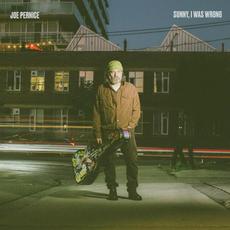 Sunny, I Was Wrong mp3 Album by Joe Pernice