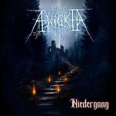 Niedergang mp3 Album by Æwigkeit