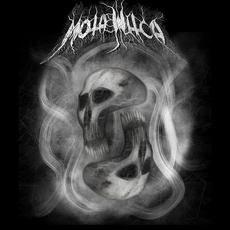 Moth Witch mp3 Album by Moth Witch