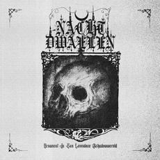 Ornament in een Levenloze Schaduwwereld mp3 Album by Nachtdwaelen