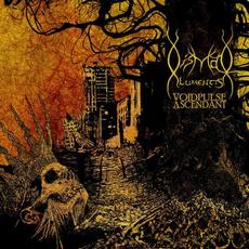 Voidpulse Ascendant mp3 Album by Dismal Lumentis