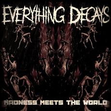 Madness Meets the World mp3 Single by Everything Decays