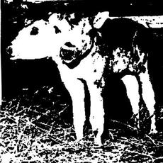 Calf mp3 Single by MyVeronica