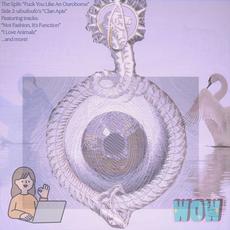 FYLAO Side 2: Clan Apis mp3 Album by ufoufoufo