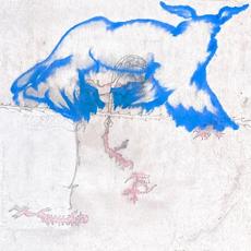 dollhouse mp3 Album by Slow Fiction