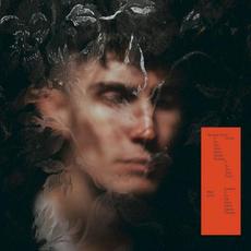 Carmine mp3 Album by Running Touch