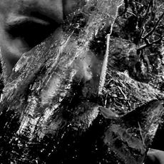 En skog av nidstang mp3 Album by Taake