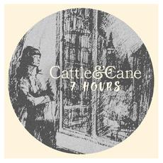 7 Hours mp3 Album by Cattle & Cane